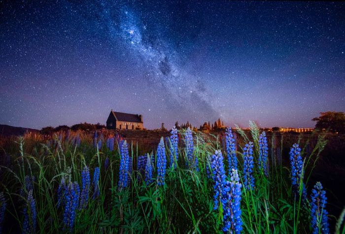 The Milky Way over the Church of the Good Shepherd, framed by blooming lupins in Lake Tekapo, New Zealand.