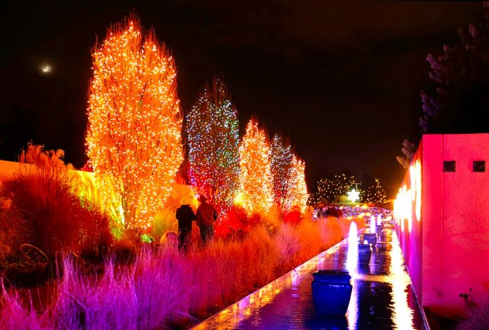 The Denver Botanic Gardens showcased its enchanting holiday light display, Blossoms of Light, on the evening of December 9, 2010. Over a million colorful lights illuminate the garden's winter splendor, located at 1007 York Street.