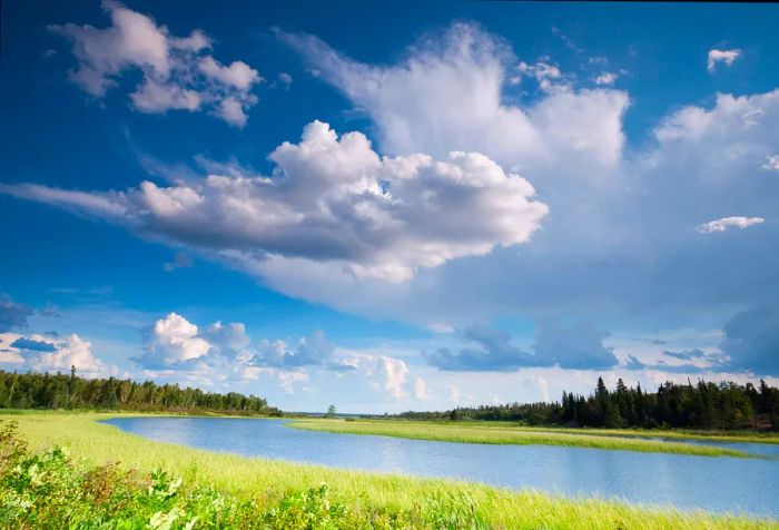 A serene lake surrounded by lush meadows and tall green trees under a partly cloudy blue sky.