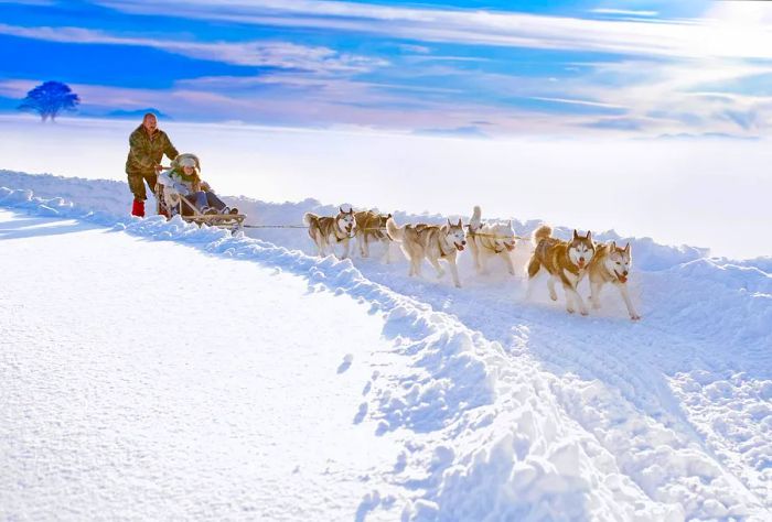 DEST_GERMANY_BAVARIA_BAD-TOELZ_BAD-TÖLZ_THEME_SLEDDING_GettyImages-102069704