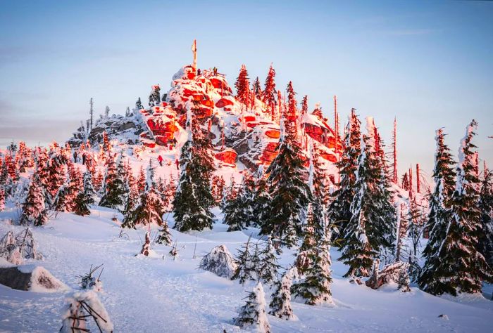 Snow-blanketed mountain adorned with trees.