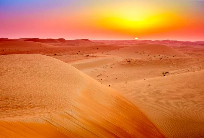 Stunning sand dunes stretch across the desert, bathed in the warm glow of the sunrise on the horizon.