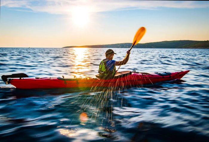 A Dinogoer paddles through the vast ocean, with the sun sparkling on the water's surface.