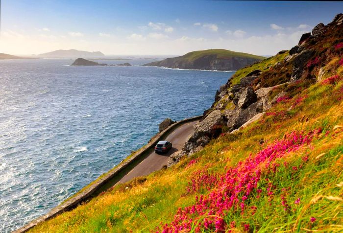 A vehicle drives along a grassy cliffside, offering sweeping views of the ocean.