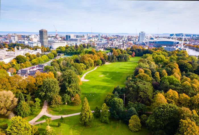 A spacious park field surrounded by lush greenery, with the distant skyline of the city visible.