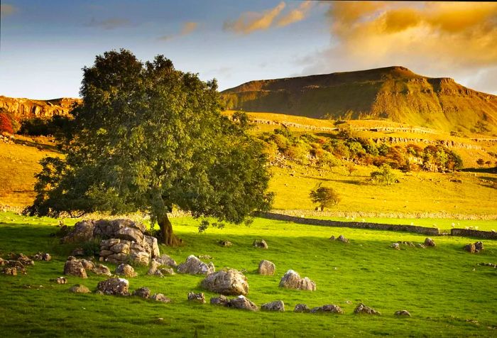 Broad grasslands are dotted with trees and limestone formations, while a lush hill shines in the sunlight off in the distance.