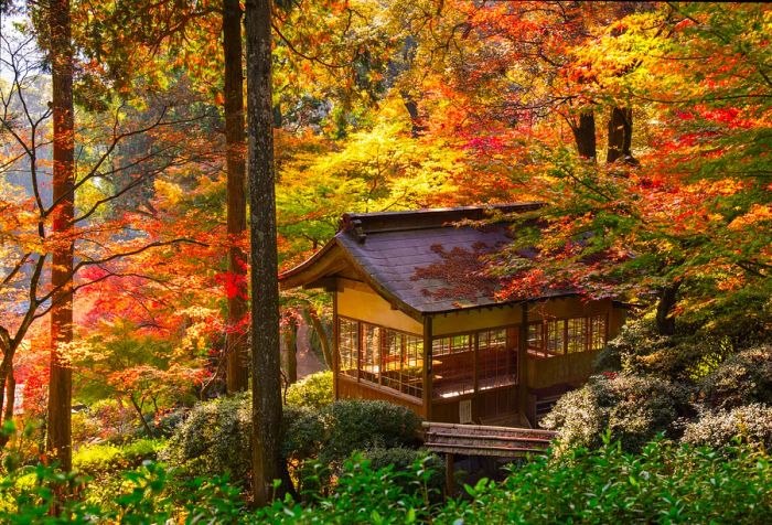 A traditional Japanese pavilion nestled among towering trees adorned with autumn-hued leaves.