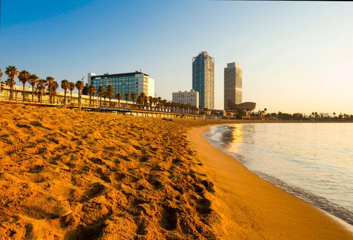 An empty beach with a backdrop of buildings and skyscrapers.