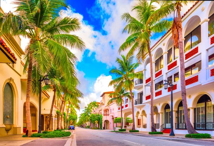 A tranquil street lined with palm trees winds through a neighborhood of upscale apartment buildings.