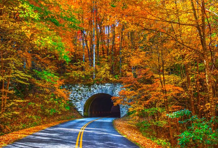 A road leading to a stone tunnel entrance, framed by trees dressed in vibrant shades of yellow, orange, and red.