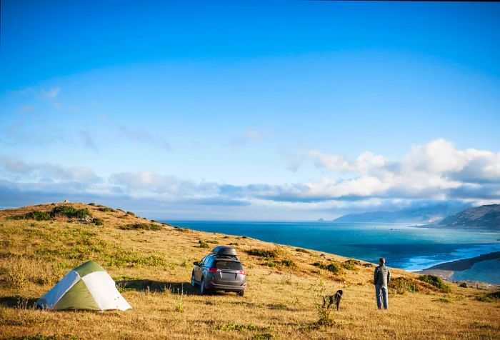 A person stands next to a dog by a car and a tent set up on a hilltop.