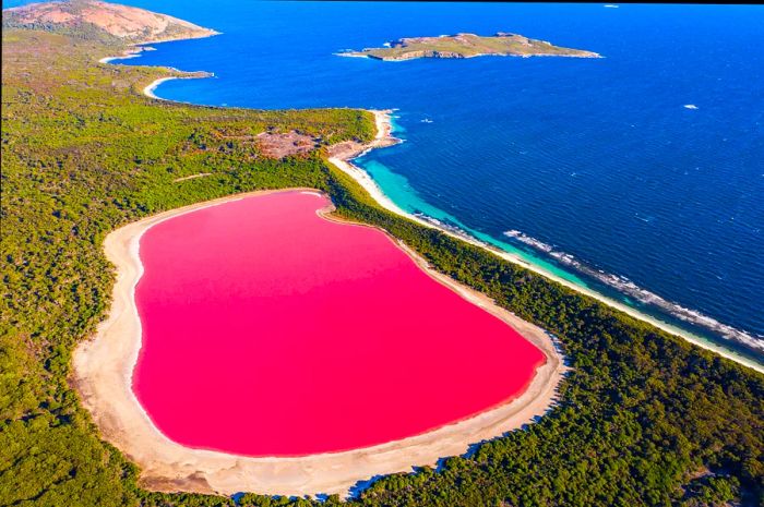 A stunning aerial view of Lake Hillier, located on Middle Island in Western Australia.