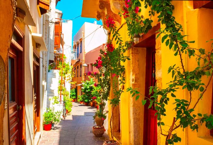 A quaint pathway weaving through a neighborhood adorned with vibrant buildings and potted greenery.