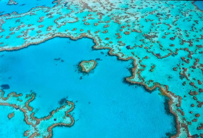 A heart-shaped reef nestled within the Great Barrier Reef, showcasing a mesmerizing and unique natural marvel.