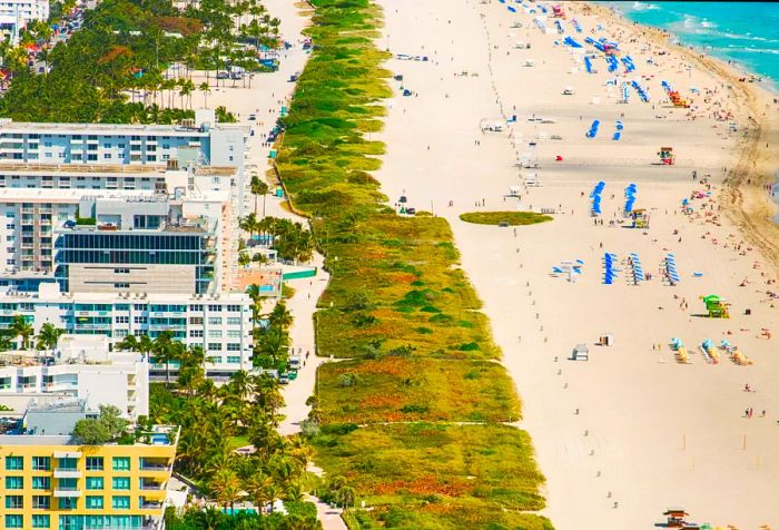 A lively beach features a stretch of sand adorned with colorful umbrellas, set against a backdrop of impressive skyscrapers.