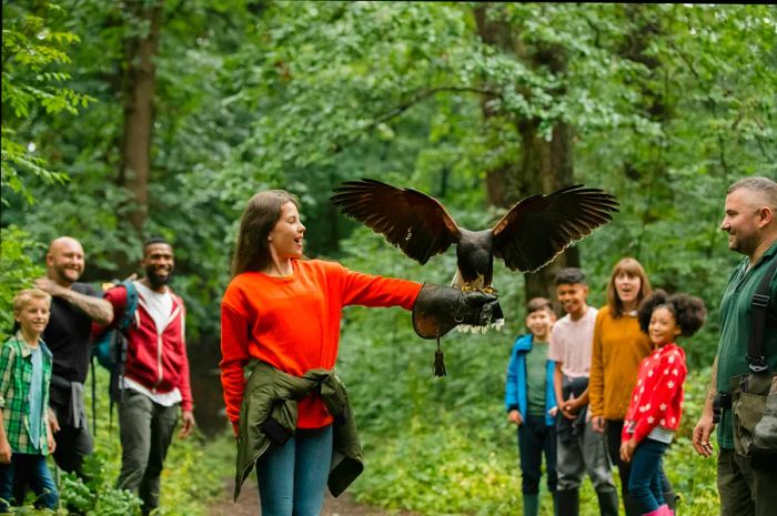 A young girl holds a bird of prey on a leather glove in a woodland setting.