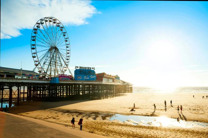 A Ferris wheel stands on a pier next to a wide sandy beach basking in the sunshine.