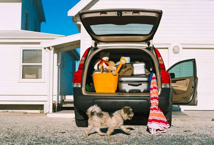 theme_luggage_car_dog_gettyimages-56181232_universal_within-usage-period_82212