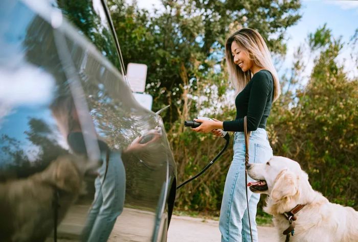 theme_people_electric_car_pet_dog_gettyimages-1216278069_universal_within-usage-period_83074