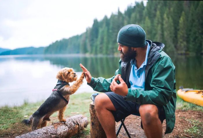 A person giving a high-five to their dog while sitting in a chair by the shore.