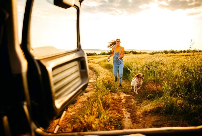 theme_car_roadtrip_dog_people_gettyimages-1324271684_universal_within-usage-period_83135