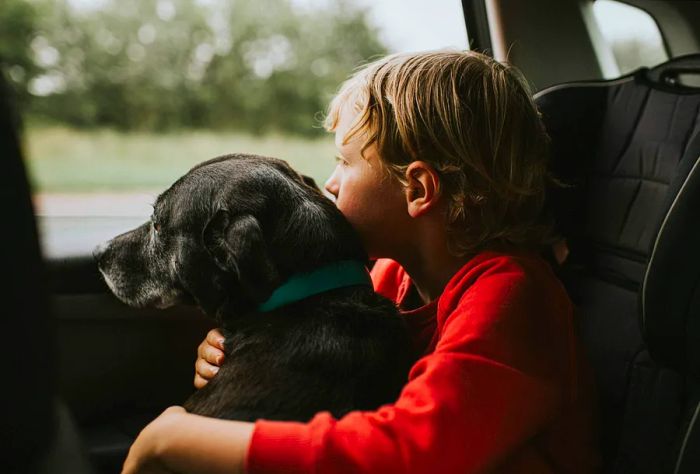 theme_child_dog_car_roadtrip_gettyimages-1253727701_universal_within-usage-period_82202