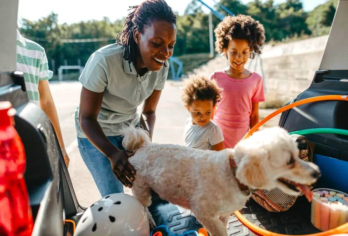 theme_car_roadtrip_dog_people_family_gettyimages-1180401619_universal_within-usage-period_83134