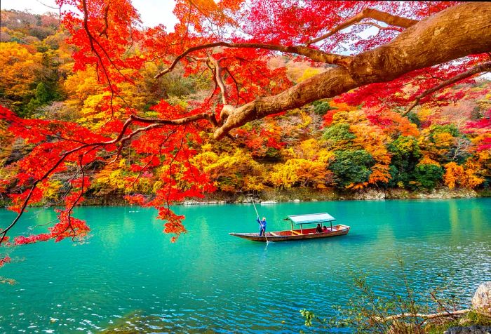 A man rowing on turquoise waters surrounded by vividly colored trees along the riverbank.