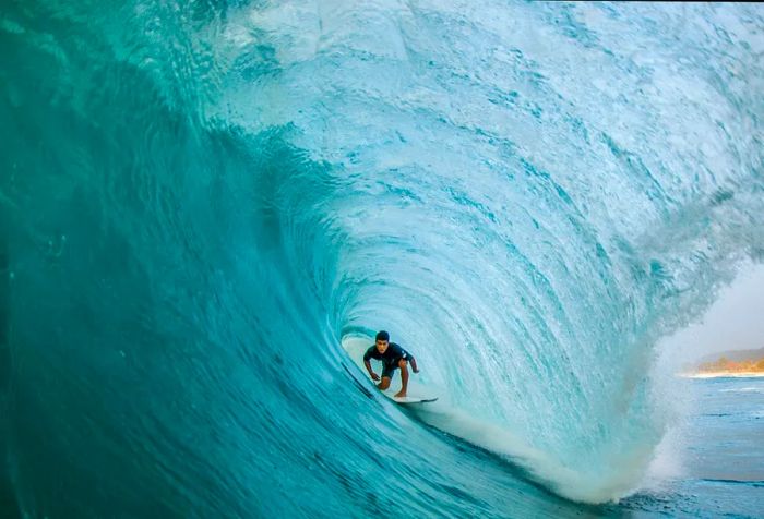 A skilled surfer perfectly positioned within a North Shore wave.