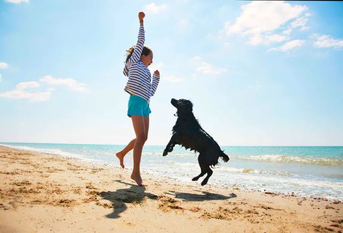 A girl and her black dog leap joyfully on the sandy shore.