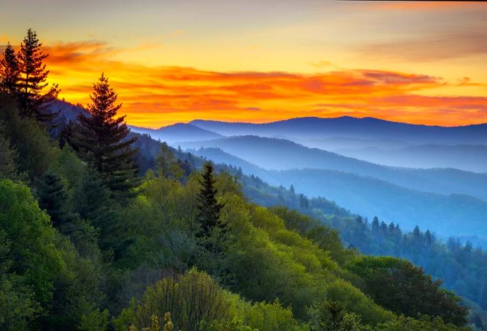 Scenic sunrise view at Oconaluftee Overlook in Great Smoky Mountains National Park, nestled between Cherokee, NC, and Gatlinburg, TN.