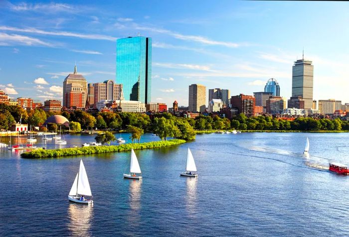 Sailboats gliding on a river with a backdrop of a modern skyline filled with soaring skyscrapers.