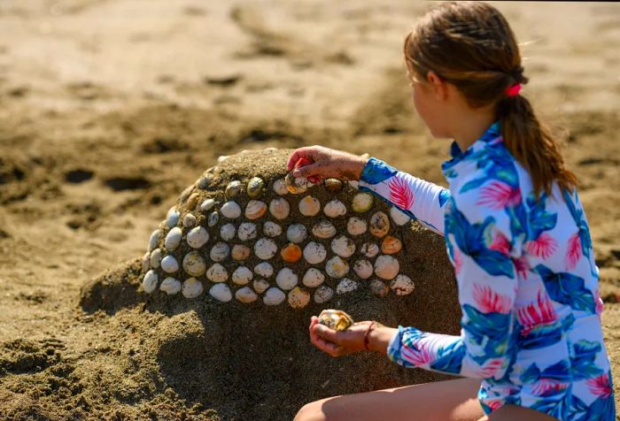 A girl gathers seashells scattered across the sandy beach.