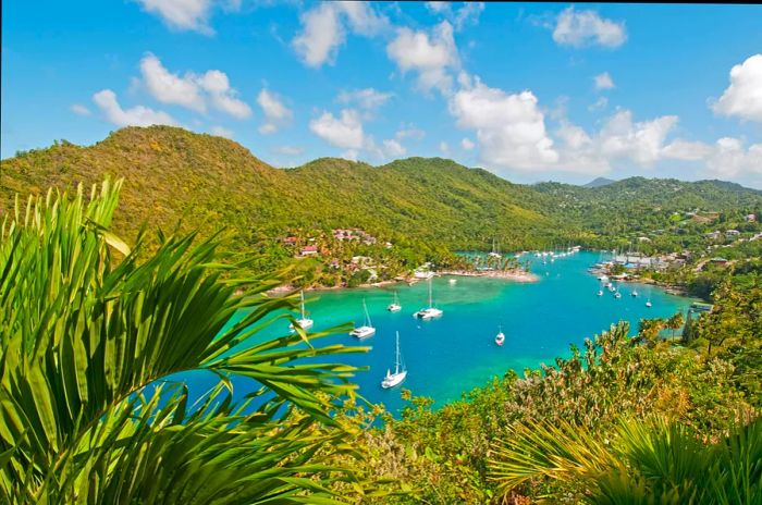 A picturesque bay filled with sailing boats, embraced by lush green hills