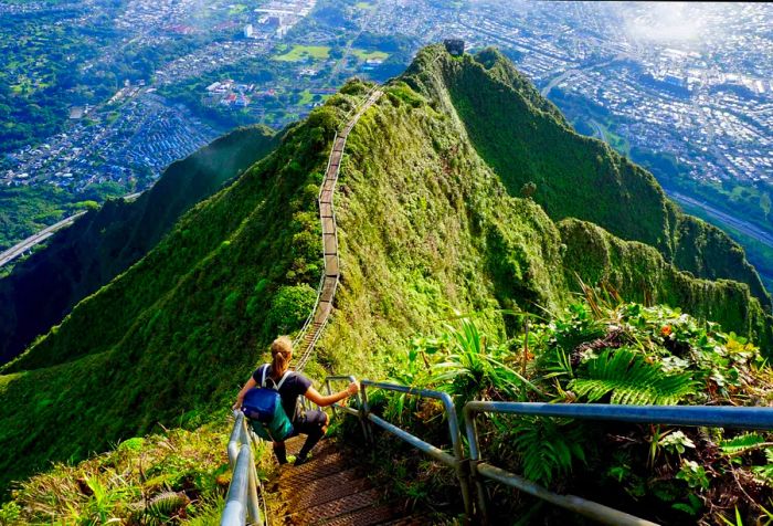 A daring individual carefully makes their way down the famous Haiku Stairs, a steep and narrow staircase etched into the lush mountaintop, surrounded by vibrant greenery and breathtaking panoramic views, tackling the challenging descent with focus and determination.