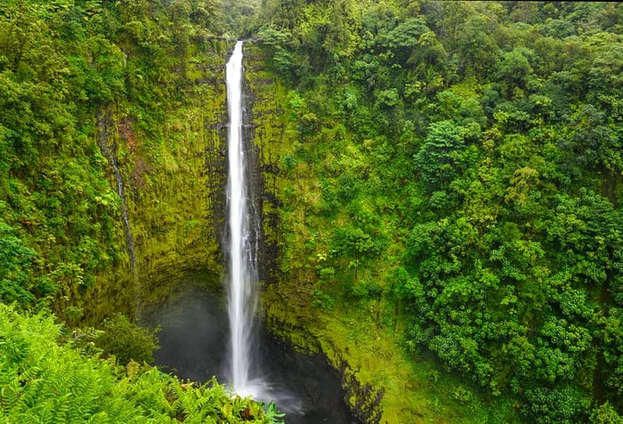 A cascading waterfall tumbles down a steep, lush cliff into a misty stream below.