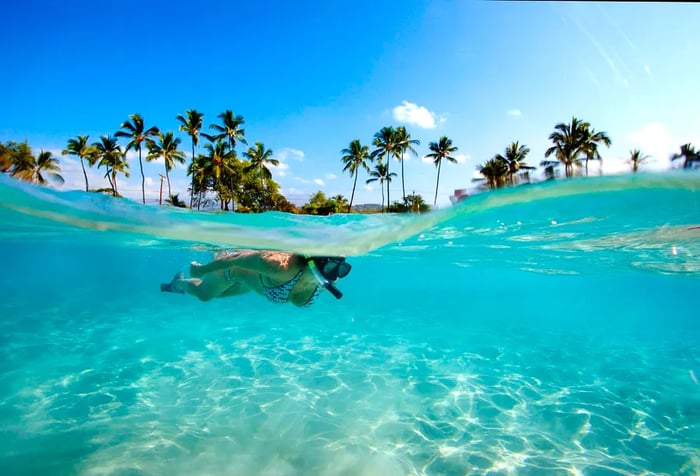 A woman enjoys snorkeling in the crystal-clear turquoise waters, surrounded by palm trees under a bright blue sky.