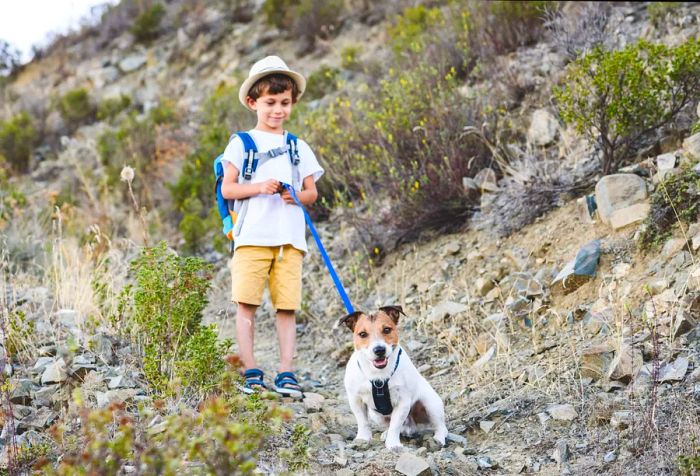 A young child holds the leash of their dog while walking along a nature trail dotted with shrubs.