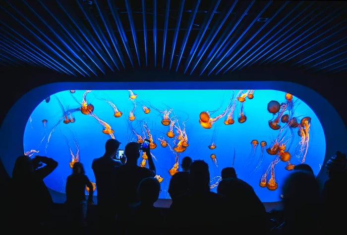 Silhouette of visitors marveling at a grand aquarium filled with a swarm of floating jellyfish.