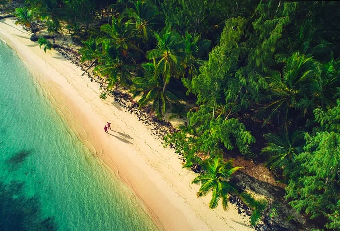 A bird's-eye view of a couple strolling along the sandy beach, bordered by lush forest.