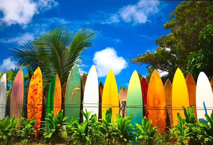 A vibrant fence crafted from old surfboards, nestled among lush greenery.