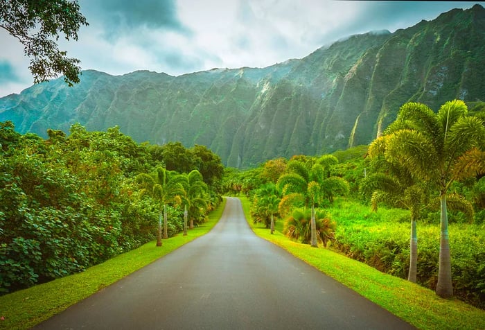 A picturesque road meanders through vibrant greenery, framed by a majestic, rugged cliff in the background.