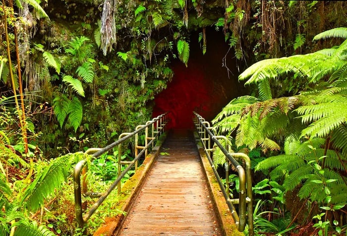 The entrance to a lava-formed tunnel is surrounded by lush foliage, formed by the solidification of flowing lava.