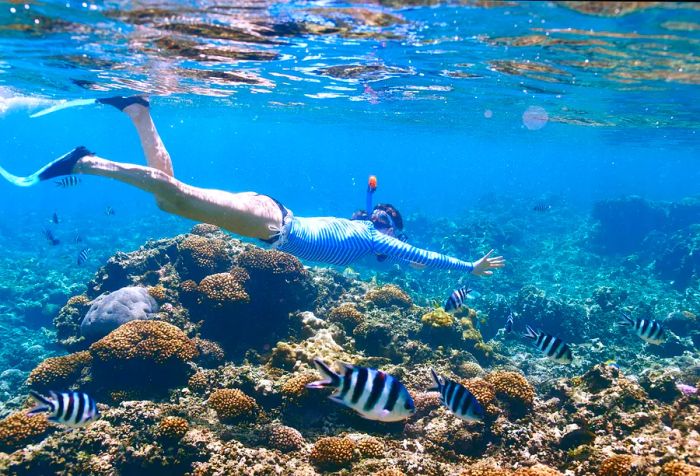 A woman snorkels in crystal-clear waters, surrounded by vibrant fish near a coral-rich seabed.