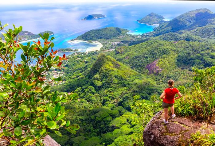 A hiker in a red shirt stands on a bluff, gazing at the lush hills stretching down to the shoreline.