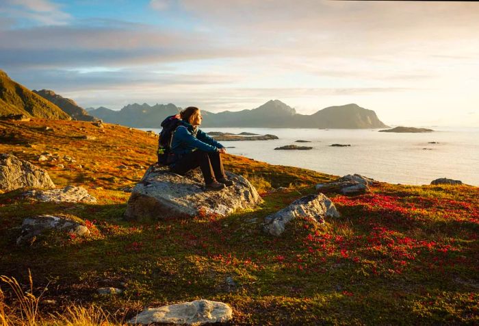 A woman dressed for hiking sits atop a boulder, gazing out at the expansive ocean.