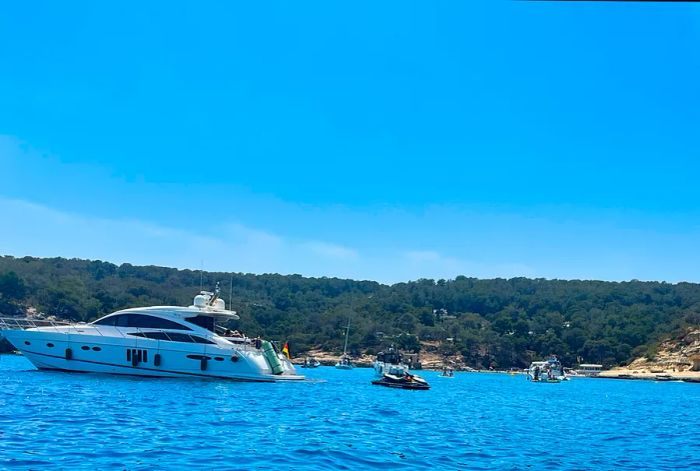 Yachts docked in the harbor of Palma de Mallorca