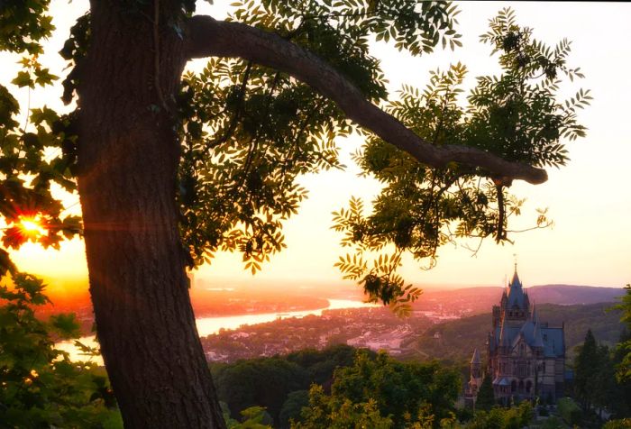 Bonn, Germany, with a focus on Cherry Blossoms and the Siebengebirge castle