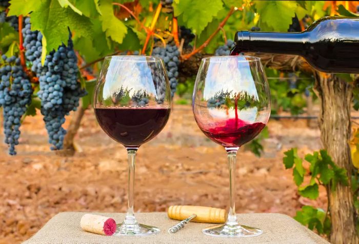 Red wine is poured from a bottle into a glass, set against a backdrop of grape-laden branches.