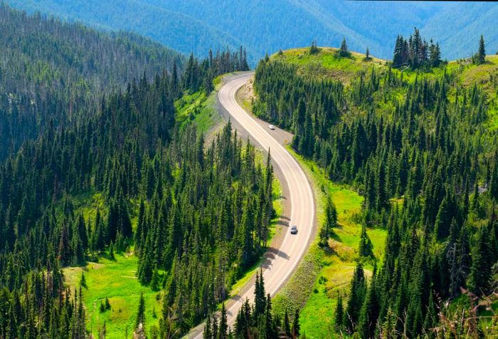 A vehicle navigates a mountain road, surrounded by lush coniferous trees.